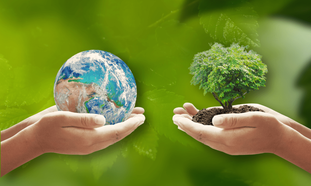 Por que seu município deve assumir o licenciamento ambiental?